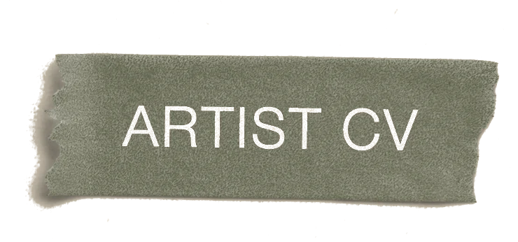 Artist CV